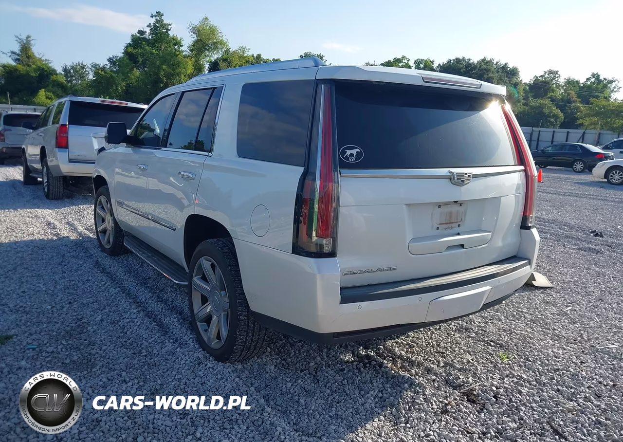 2016 Cadillac Escalade Luxury Collection VIN:1GYS3BKJ5GR312493 - 3