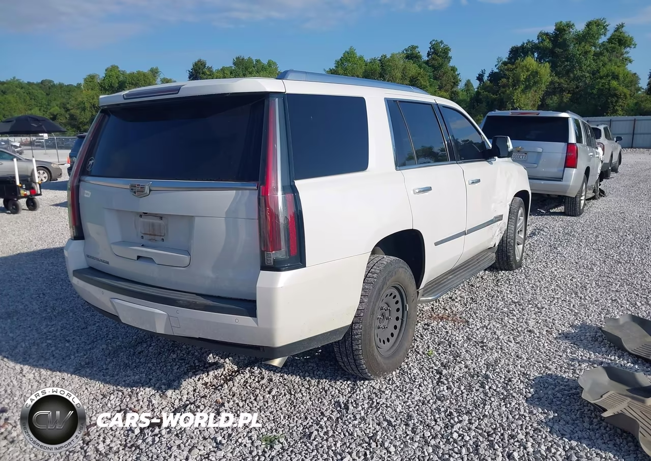 2016 Cadillac Escalade Luxury Collection VIN:1GYS3BKJ5GR312493 - 4