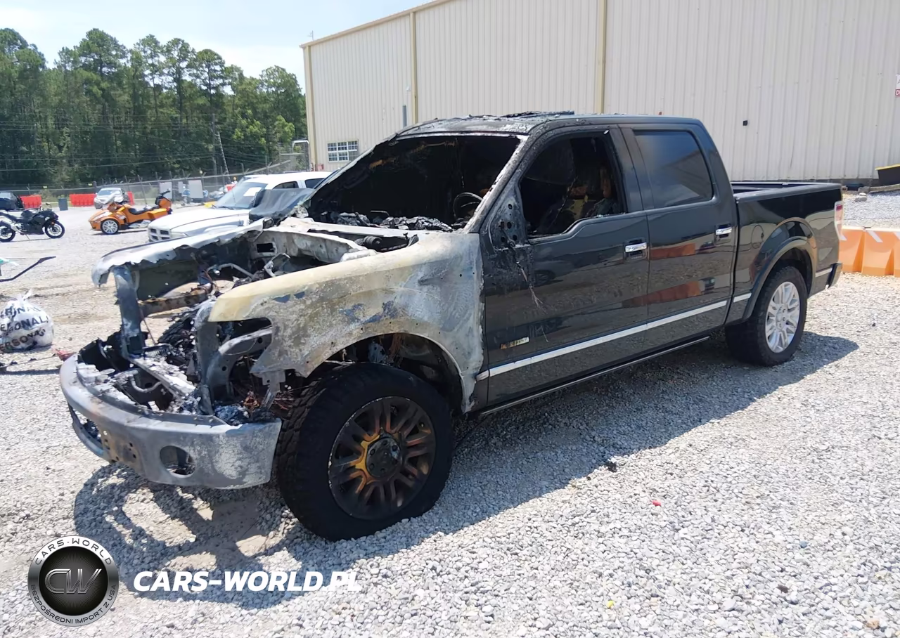 2013 Ford F-150 Platinum VIN:1FTFW1CT3DFC26704 - 2