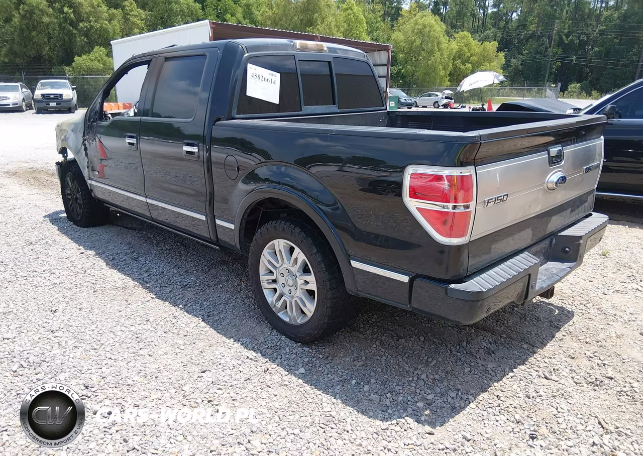 2013 Ford F-150 Platinum VIN:1FTFW1CT3DFC26704 - 3