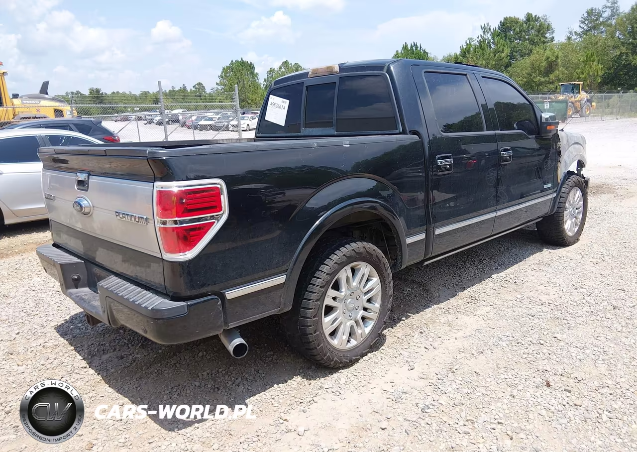2013 Ford F-150 Platinum VIN:1FTFW1CT3DFC26704 - 4