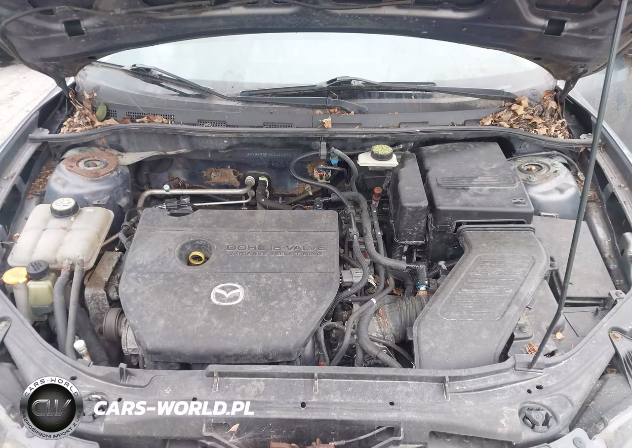 2009 Mazda Mazda3 I VIN:JM1BK32F991192676 - 10