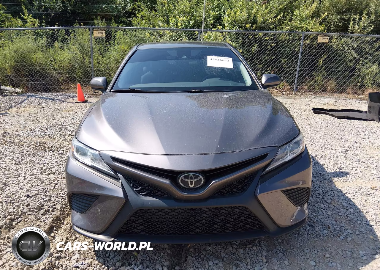 2020 Toyota Camry Se VIN:4T1G11AK0LU948876 - 12