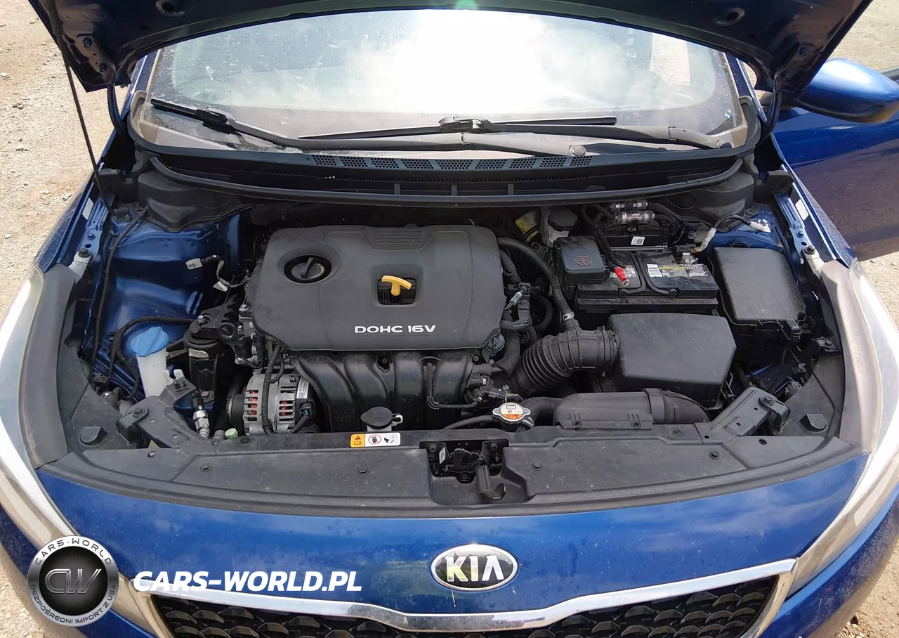 2018 Kia Forte Lx VIN:3KPFK4A70JE267669 - 10