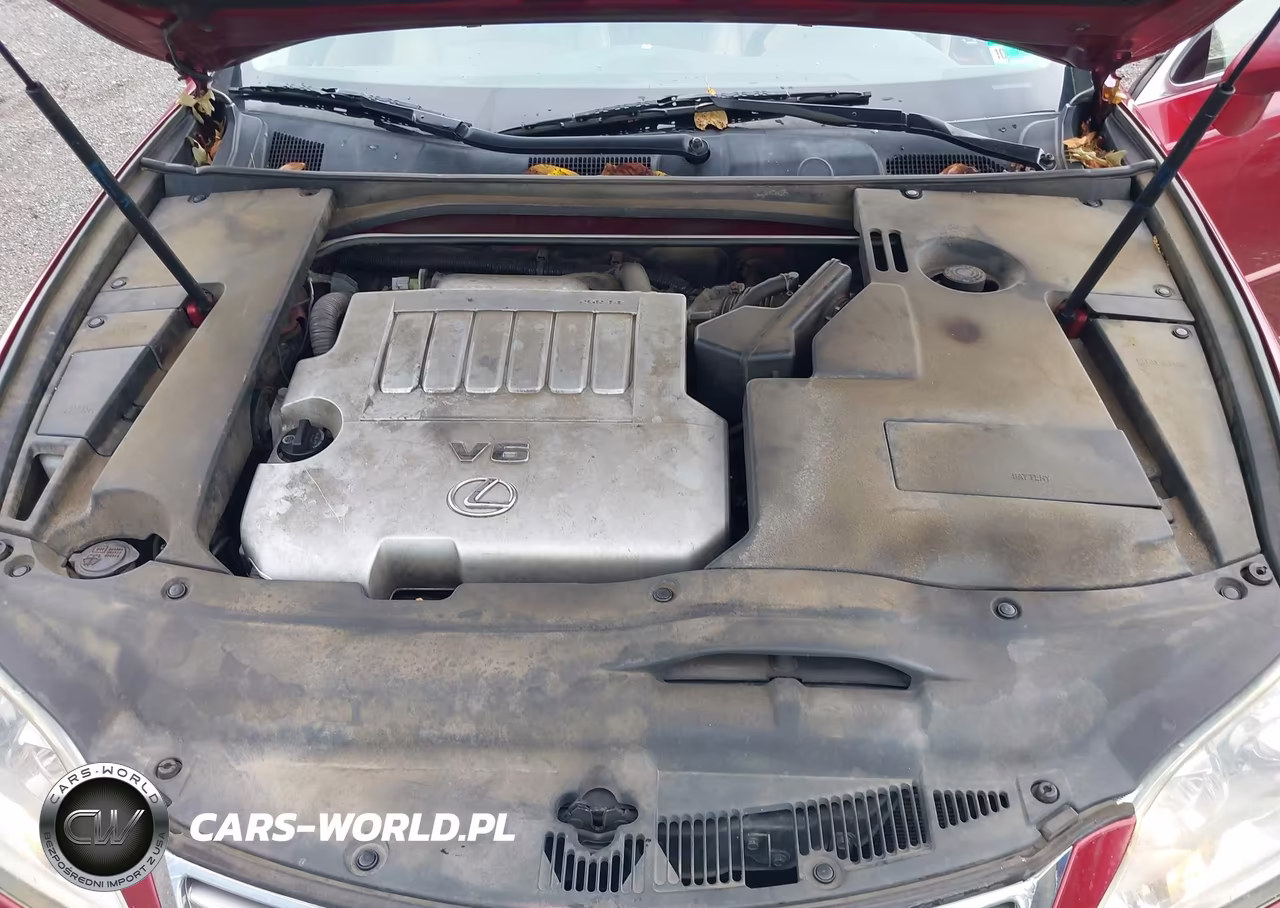 2010 Lexus Es 350 VIN:JTHBK1EG7A2412466 - 10