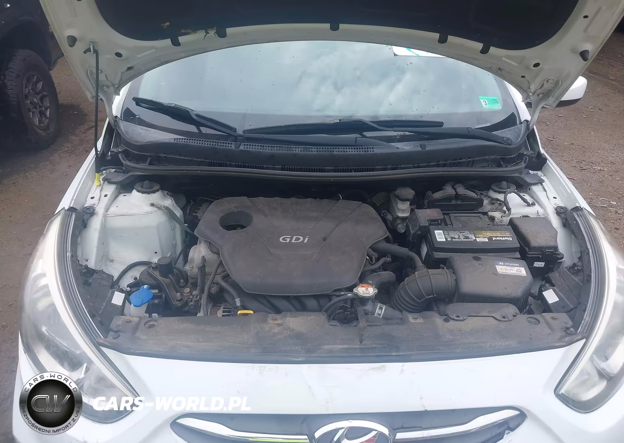 2016 Hyundai Accent Se VIN:KMHCT4AE1GU111483 - 10