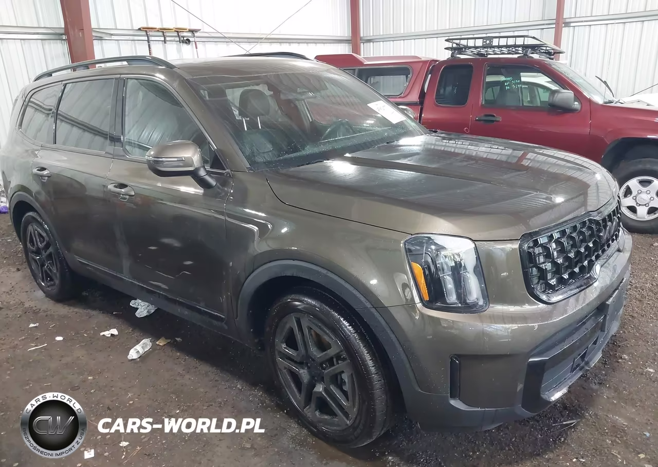 2025 Kia Telluride Ex X-Line VIN:5XYP3DGCXSG568587 - 1