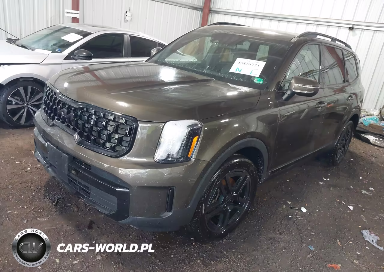 2025 Kia Telluride Ex X-Line VIN:5XYP3DGCXSG568587 - 2