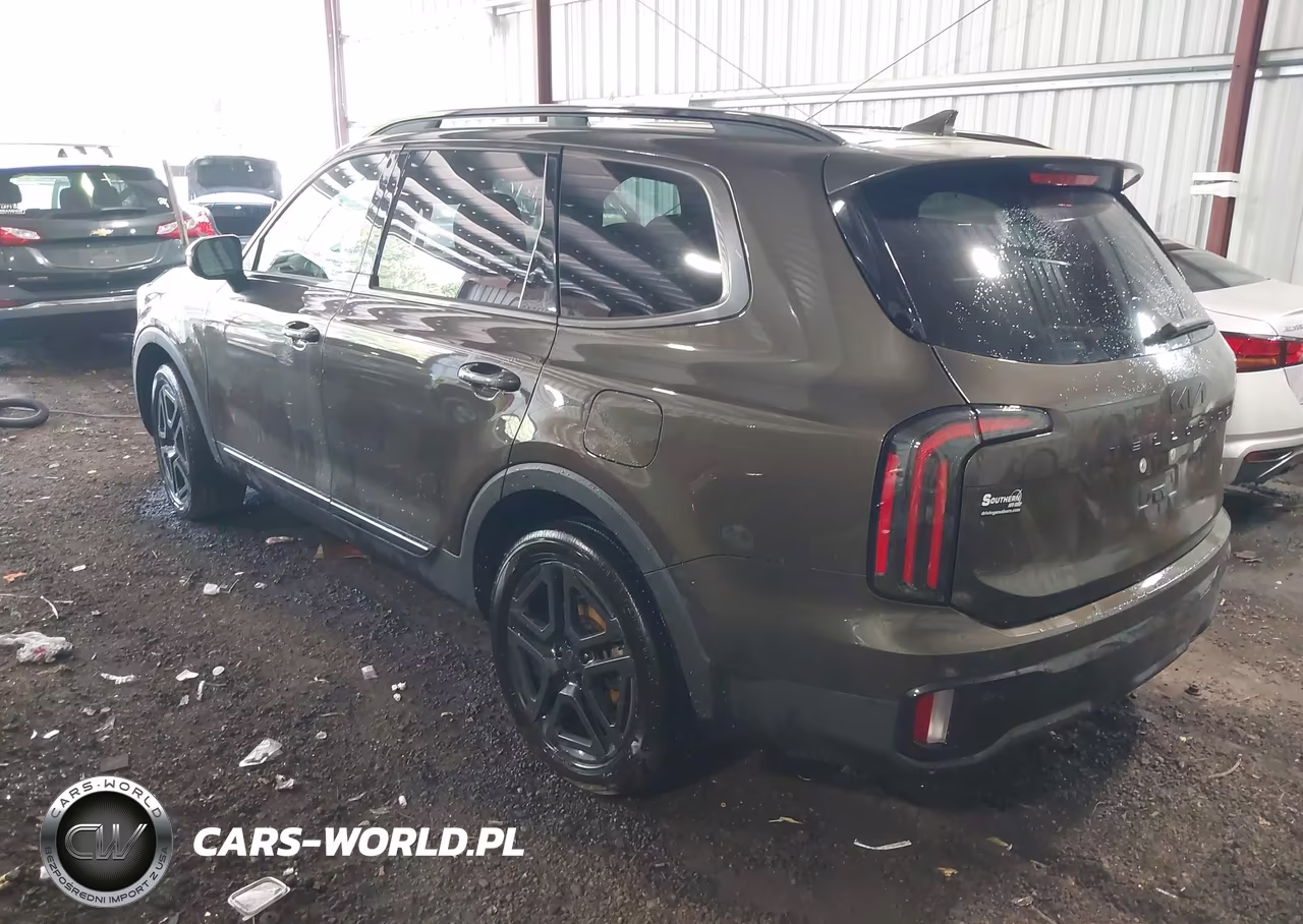 2025 Kia Telluride Ex X-Line VIN:5XYP3DGCXSG568587 - 3