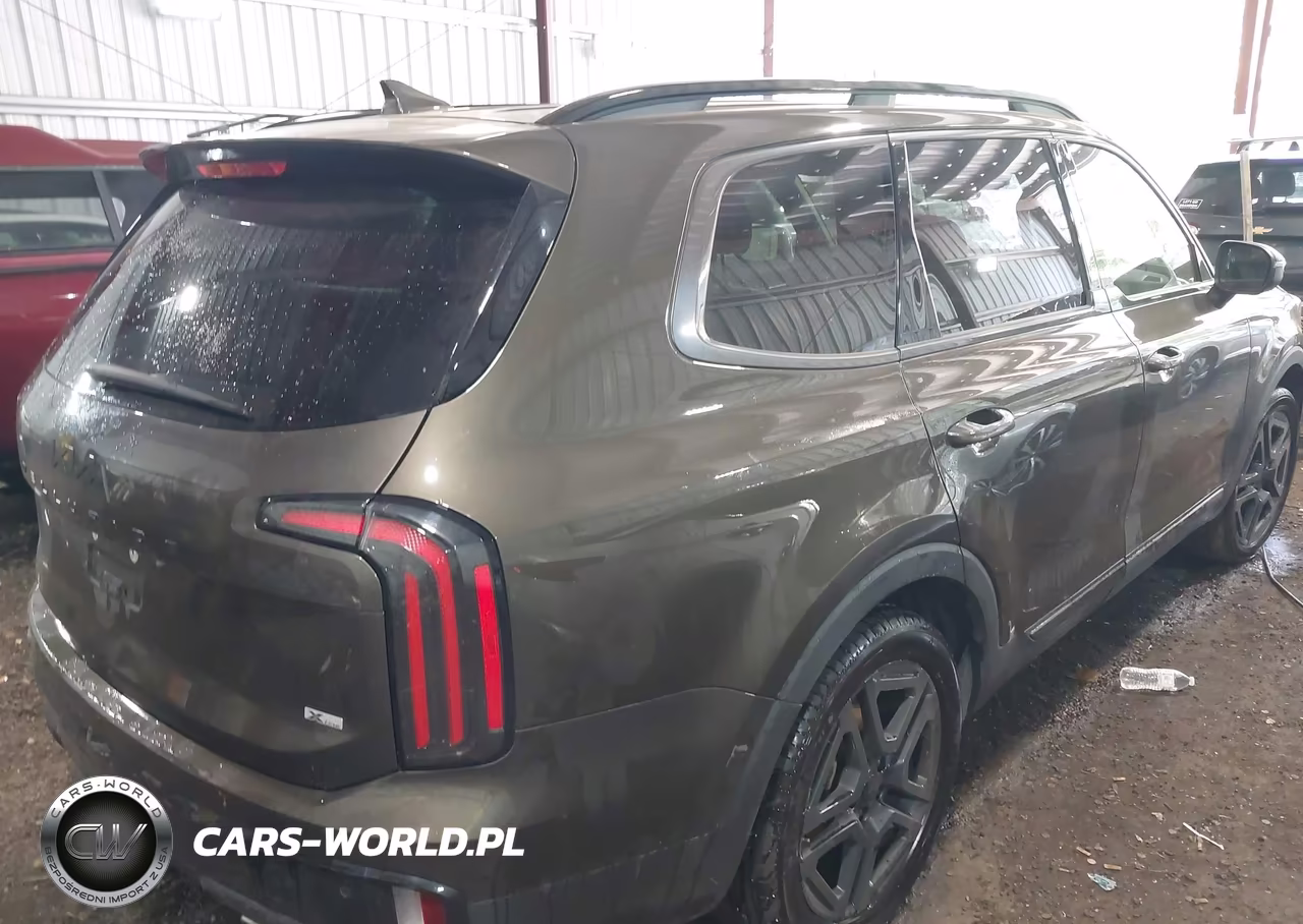 2025 Kia Telluride Ex X-Line VIN:5XYP3DGCXSG568587 - 4