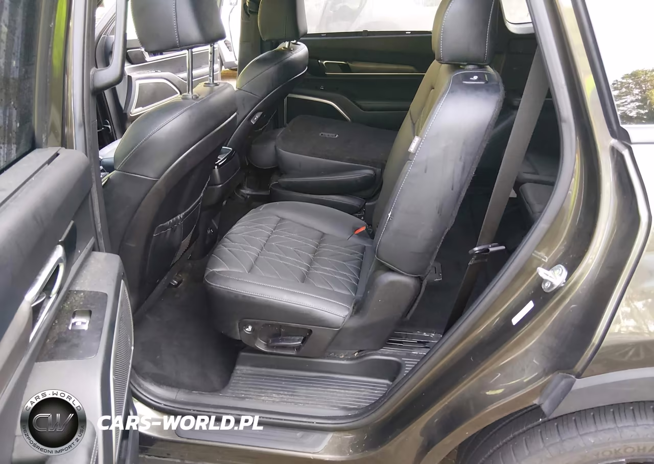 2025 Kia Telluride Ex X-Line VIN:5XYP3DGCXSG568587 - 8