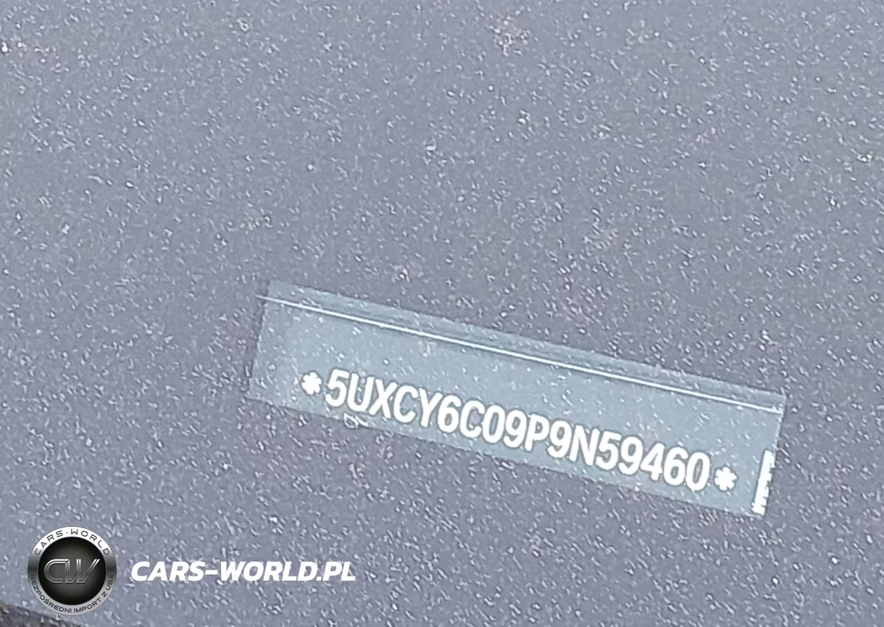 2023 BMW X6 xDrive40I VIN:5UXCY6C09P9N59460 - 12