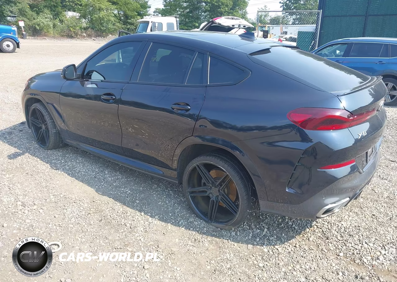 2023 BMW X6 xDrive40I VIN:5UXCY6C09P9N59460 - 3