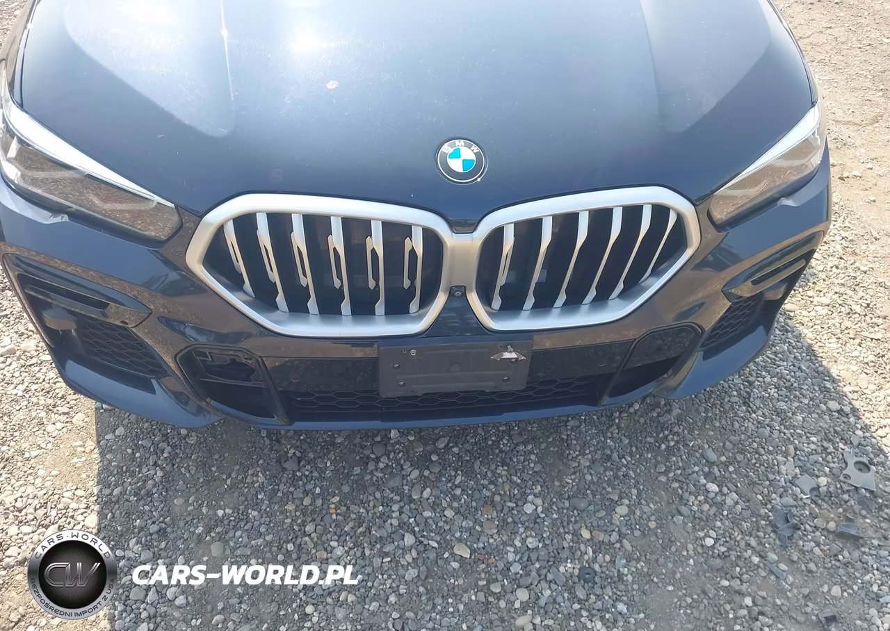 2023 BMW X6 xDrive40I VIN:5UXCY6C09P9N59460 - 6