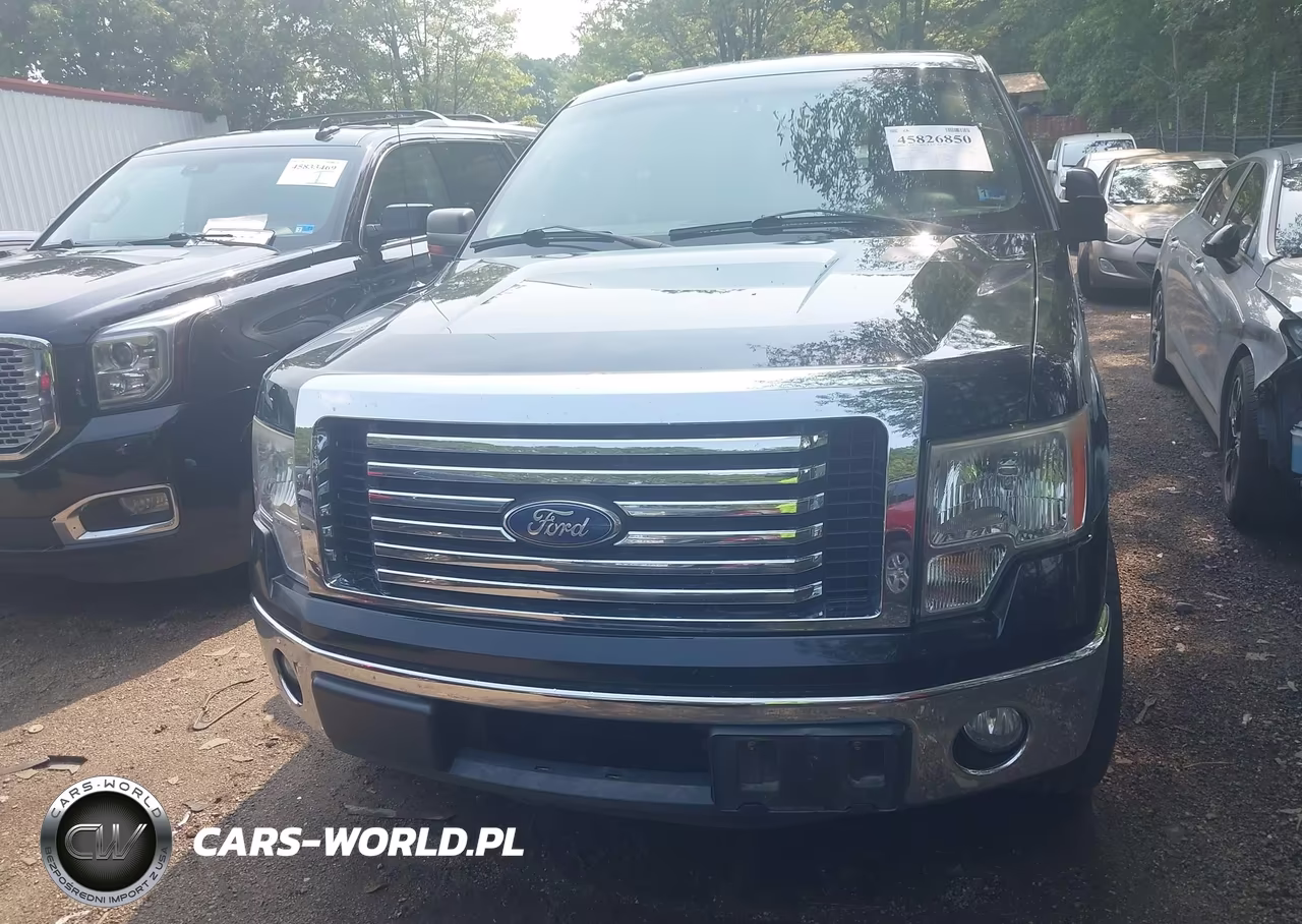 2011 Ford F-150 Xlt VIN:1FTFW1CT1BFD09979 - 12