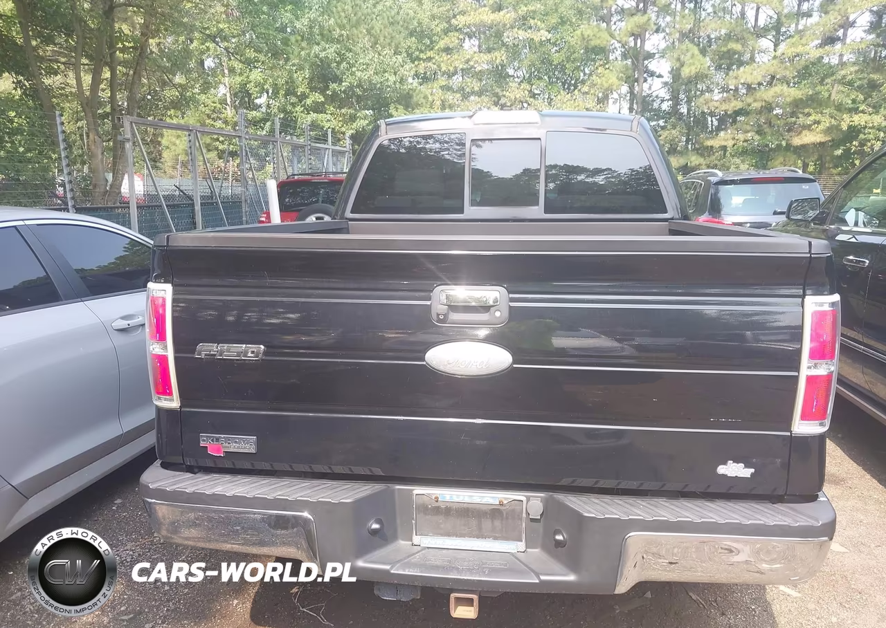 2011 Ford F-150 Xlt VIN:1FTFW1CT1BFD09979 - 16