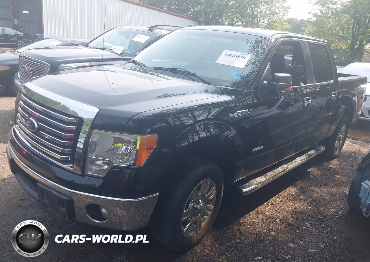 2011 Ford F-150 Xlt VIN:1FTFW1CT1BFD09979 - 2