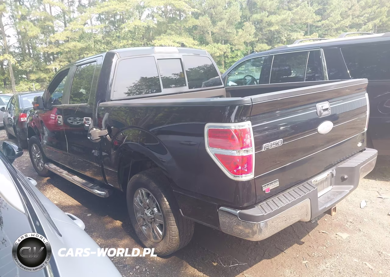 2011 Ford F-150 Xlt VIN:1FTFW1CT1BFD09979 - 3