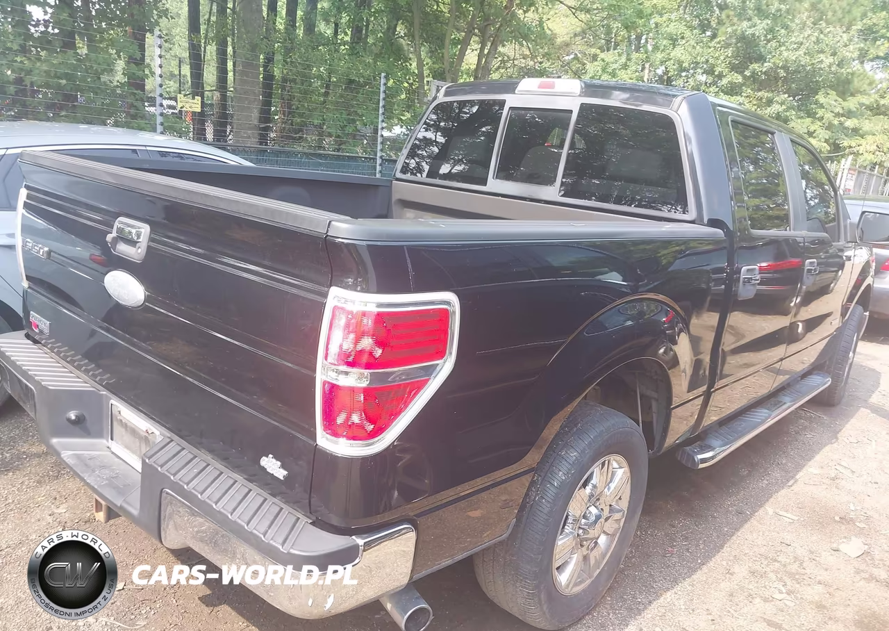2011 Ford F-150 Xlt VIN:1FTFW1CT1BFD09979 - 4