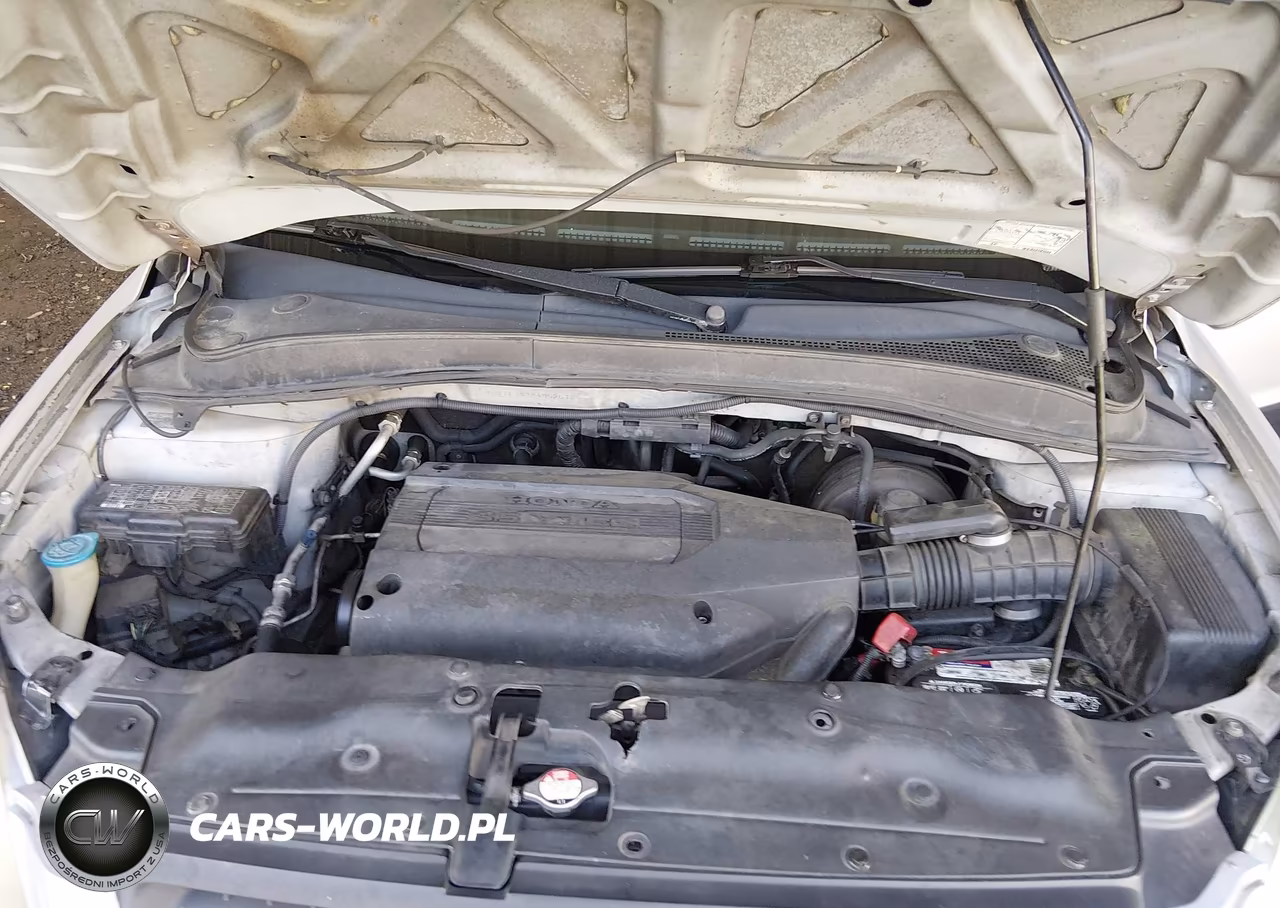 2004 Honda Pilot Lx VIN:2HKYF18184H520783 - 10