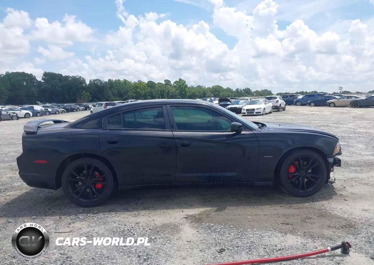 2014 Dodge Charger R-T Plus VIN:2C3CDXCTXEH138023 - 13