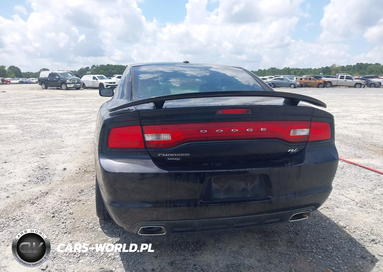 2014 Dodge Charger R-T Plus VIN:2C3CDXCTXEH138023 - 16