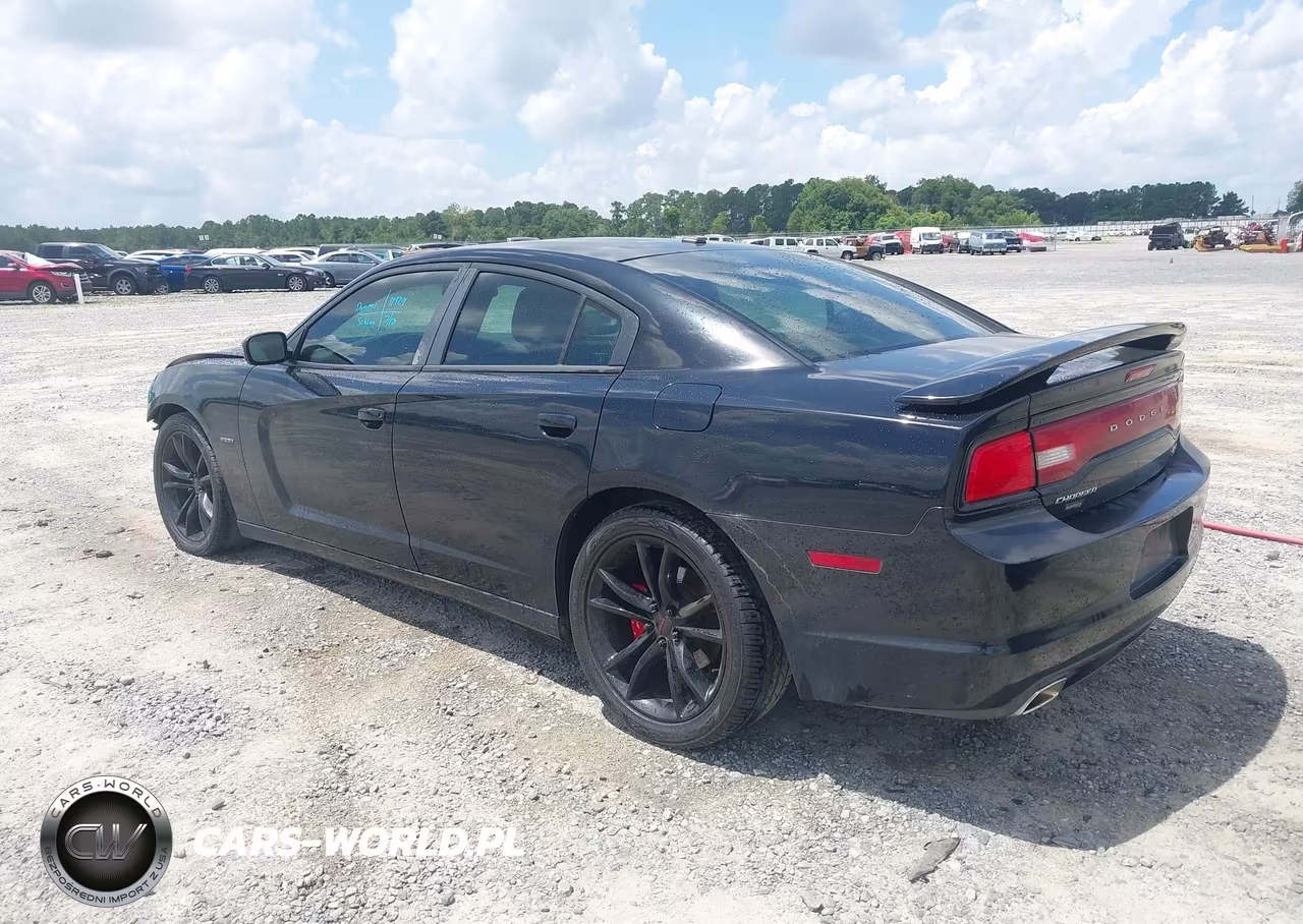 2014 Dodge Charger R-T Plus VIN:2C3CDXCTXEH138023 - 3