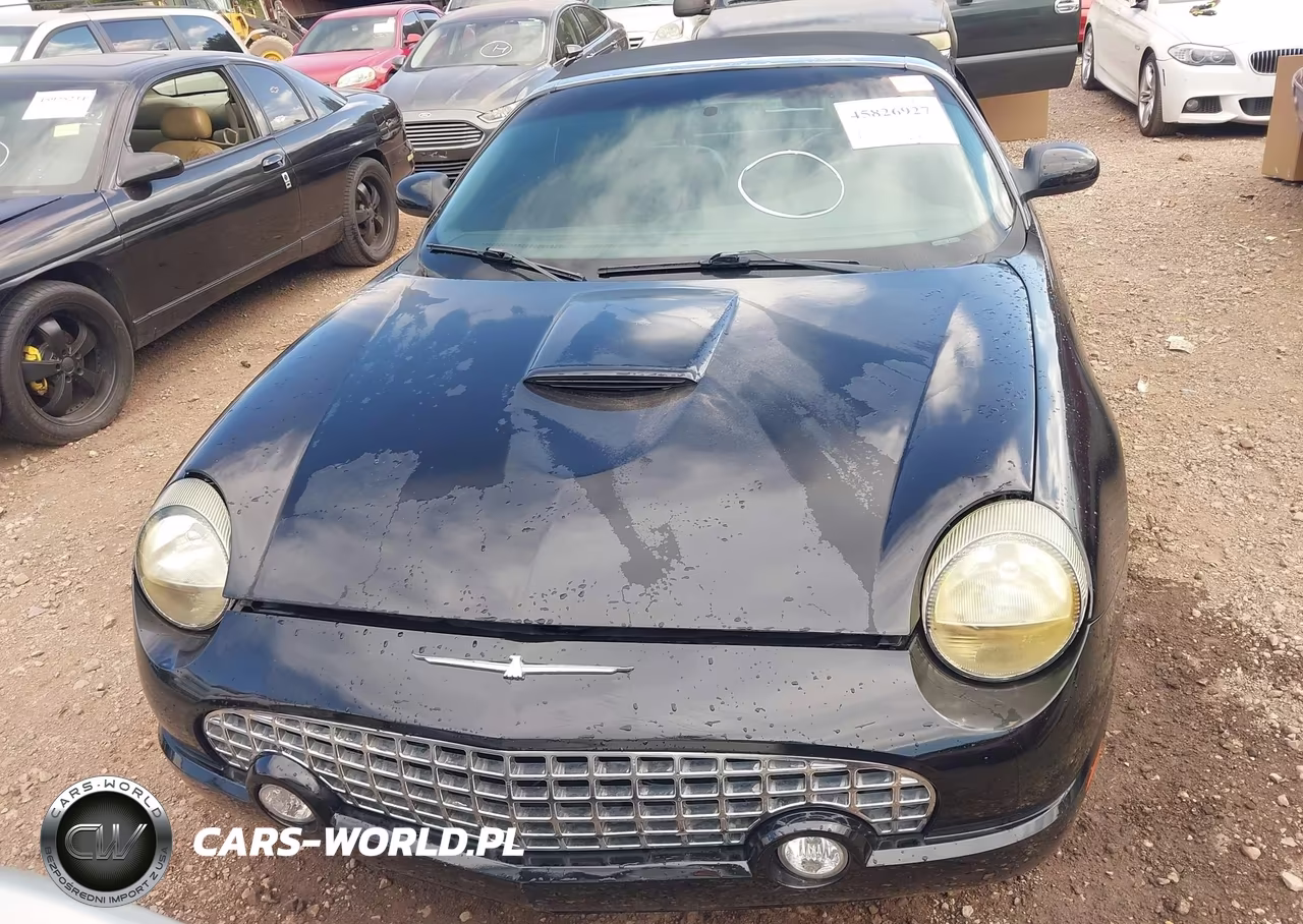 2002 Ford Thunderbird Deluxe-Premium-W-Hardtop Deluxe-W-Hardtop Premium VIN:1FAHP60A22Y126283 - 12