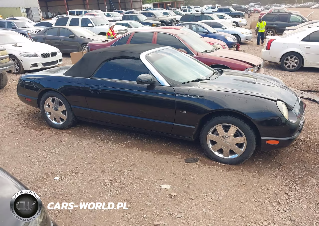 2002 Ford Thunderbird Deluxe-Premium-W-Hardtop Deluxe-W-Hardtop Premium VIN:1FAHP60A22Y126283 - 13