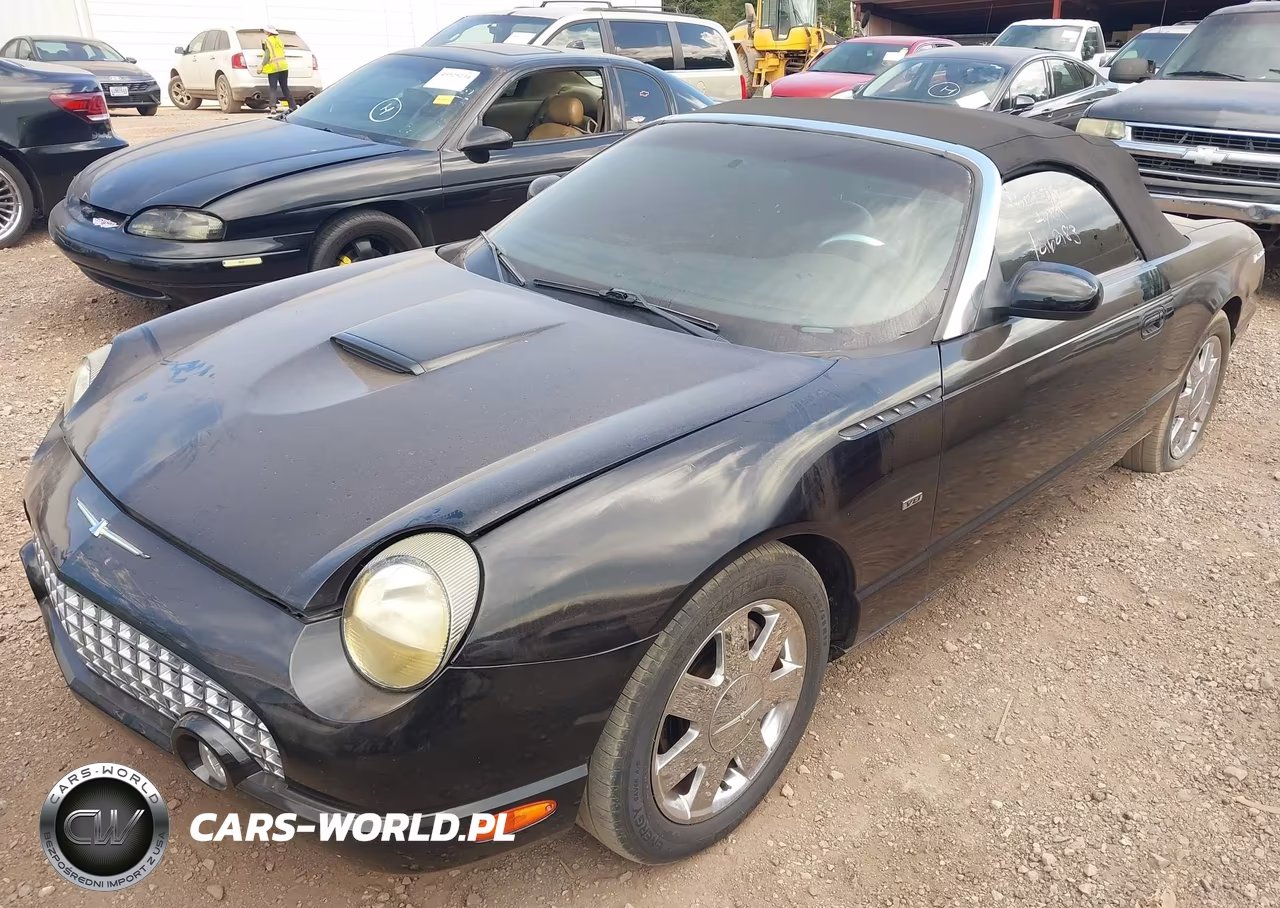 2002 Ford Thunderbird Deluxe-Premium-W-Hardtop Deluxe-W-Hardtop Premium VIN:1FAHP60A22Y126283 - 14