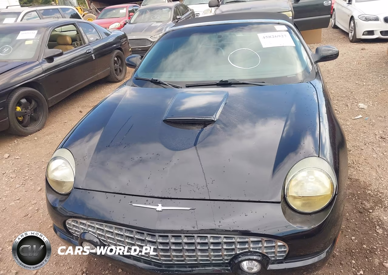 2002 Ford Thunderbird Deluxe-Premium-W-Hardtop Deluxe-W-Hardtop Premium VIN:1FAHP60A22Y126283 - 6