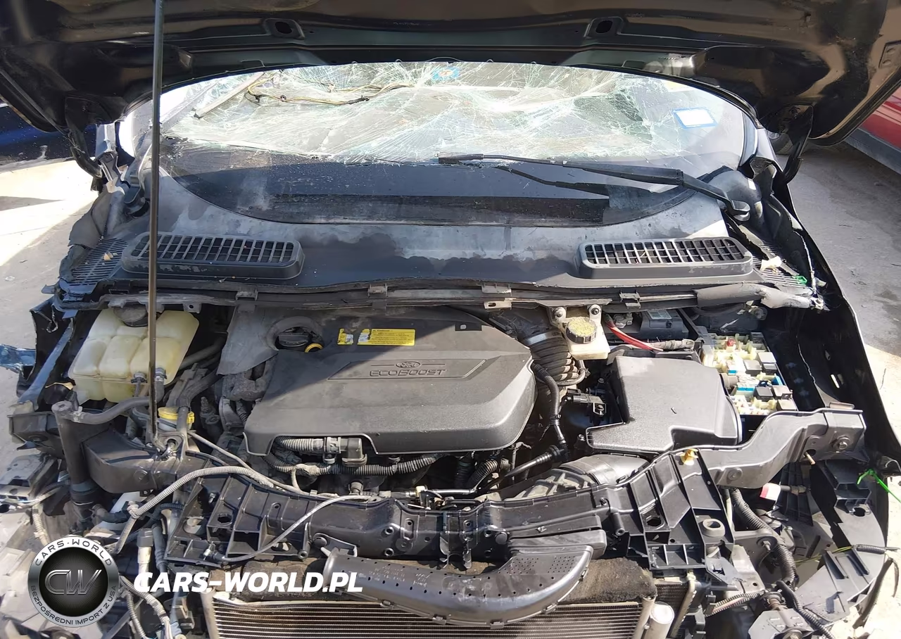 2013 Ford Escape Se VIN:1FMCU0GX8DUD37448 - 10