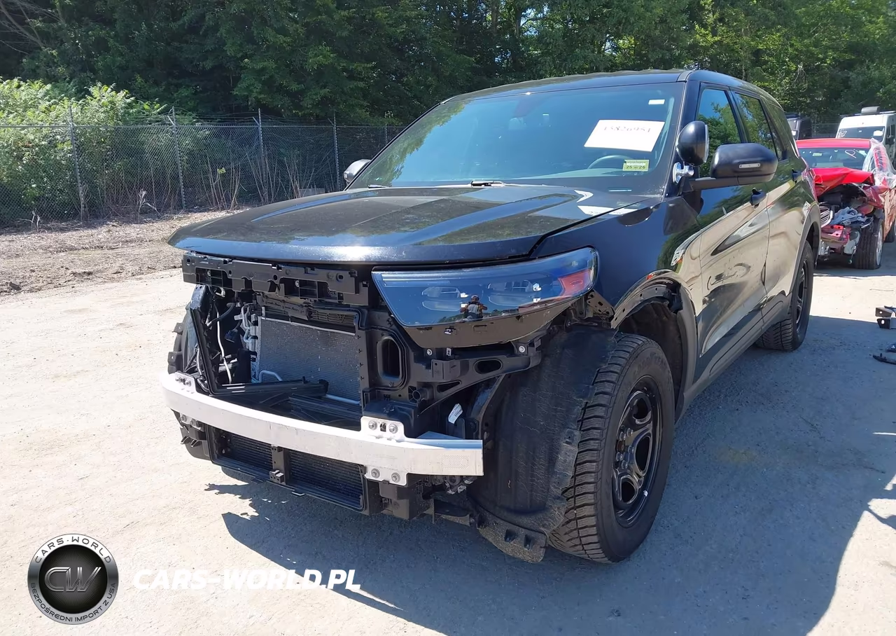 2020 Ford Police Interceptor Utility VIN:1FM5K8AB6LGA84587 - 18