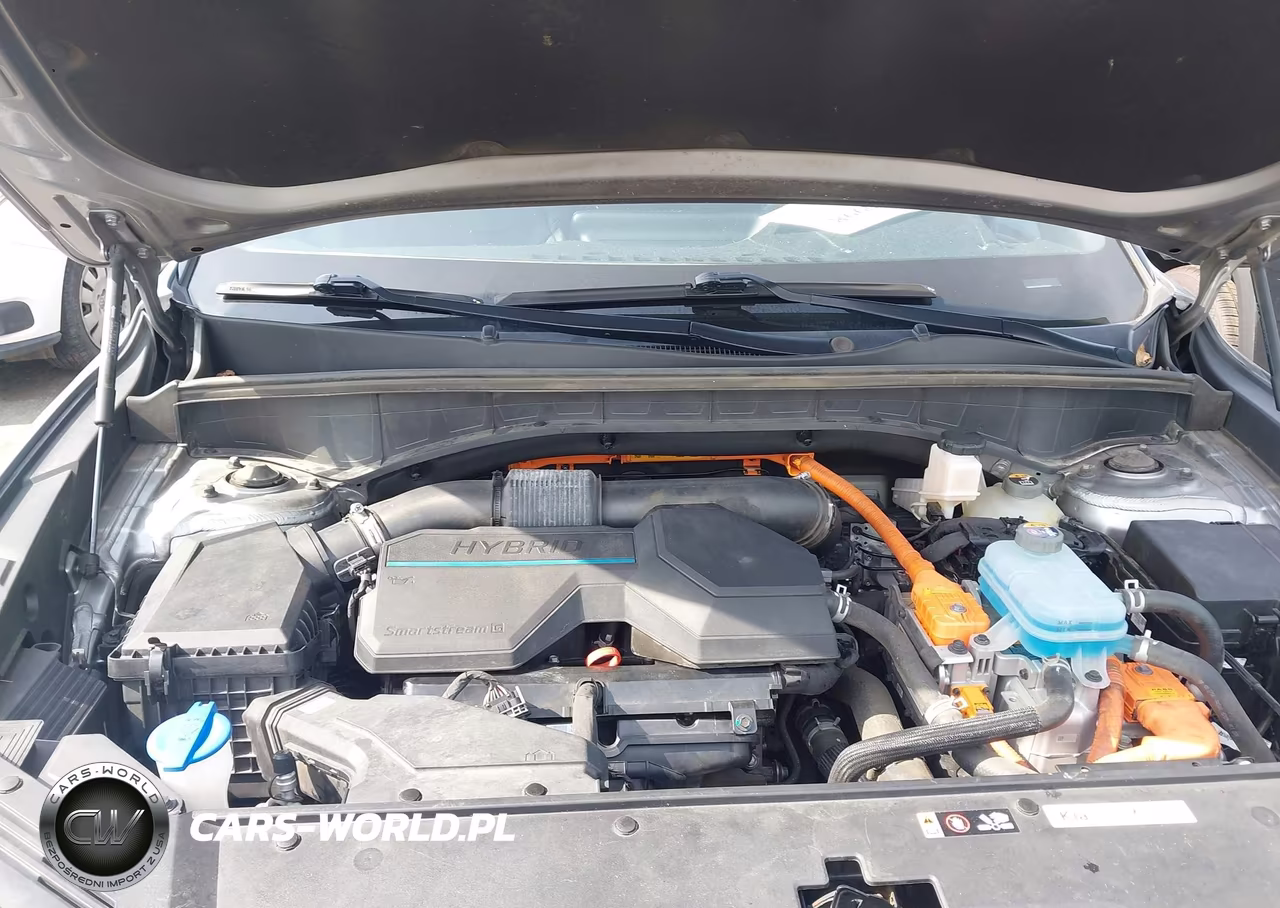 2022 Kia Sorento Plug-In Hybrid Sx Prestige VIN:KNDRMDLH2N5068962 - 10