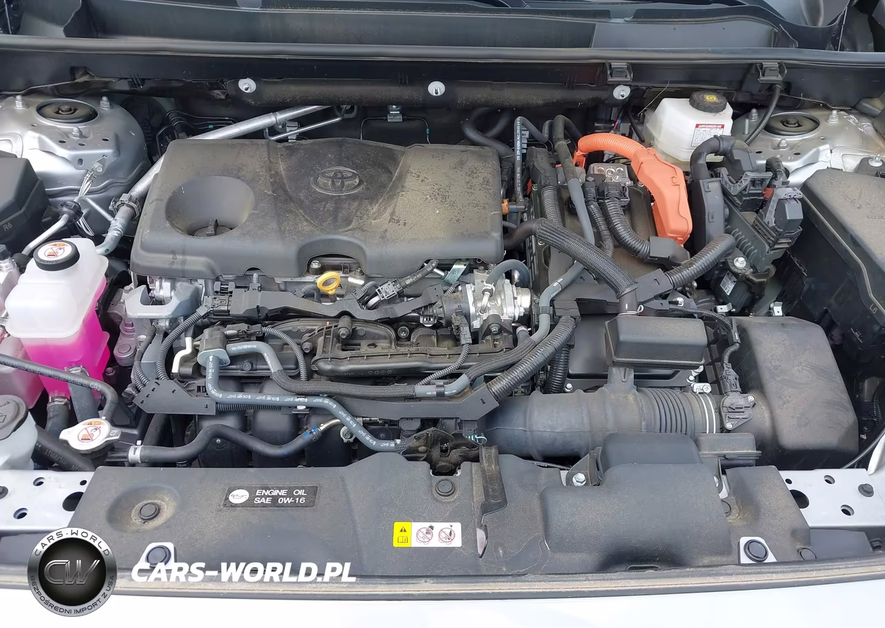 2024 Toyota Rav4 Hybrid Xle VIN:2T3RWRFVXRW234457 - 10