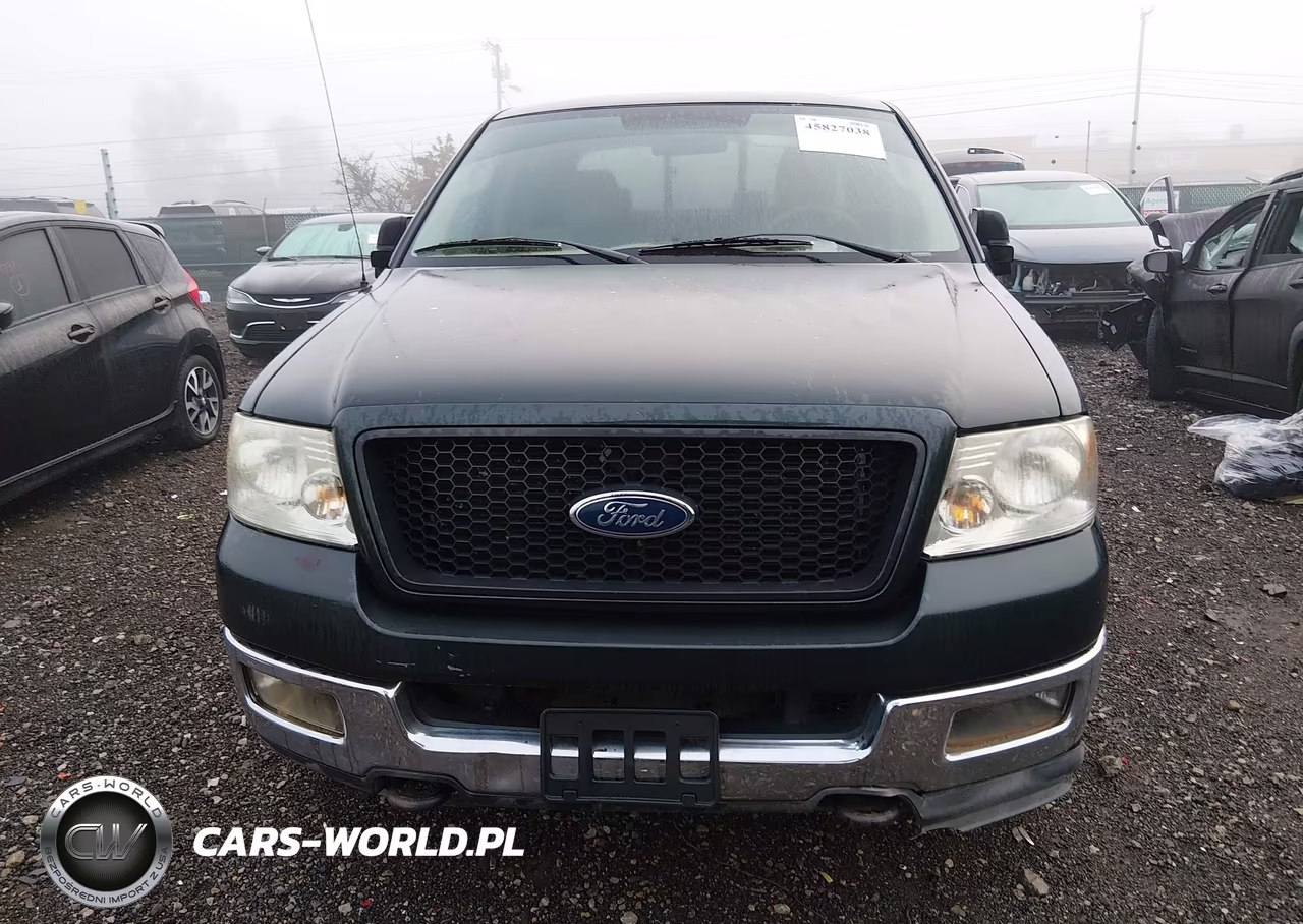 2004 Ford F-150 Fx4-Lariat-Xlt VIN:1FTPW14514KD92148 - 12