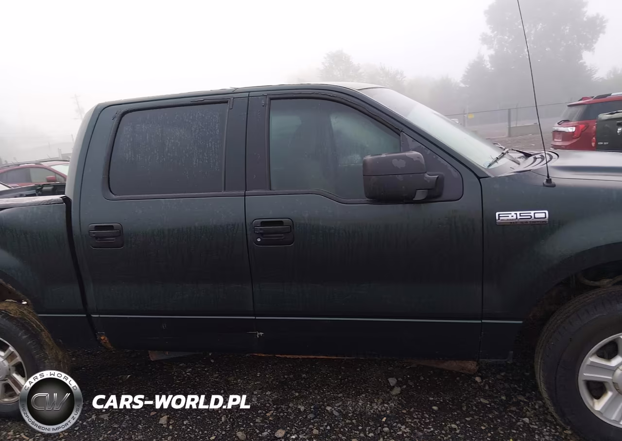 2004 Ford F-150 Fx4-Lariat-Xlt VIN:1FTPW14514KD92148 - 13