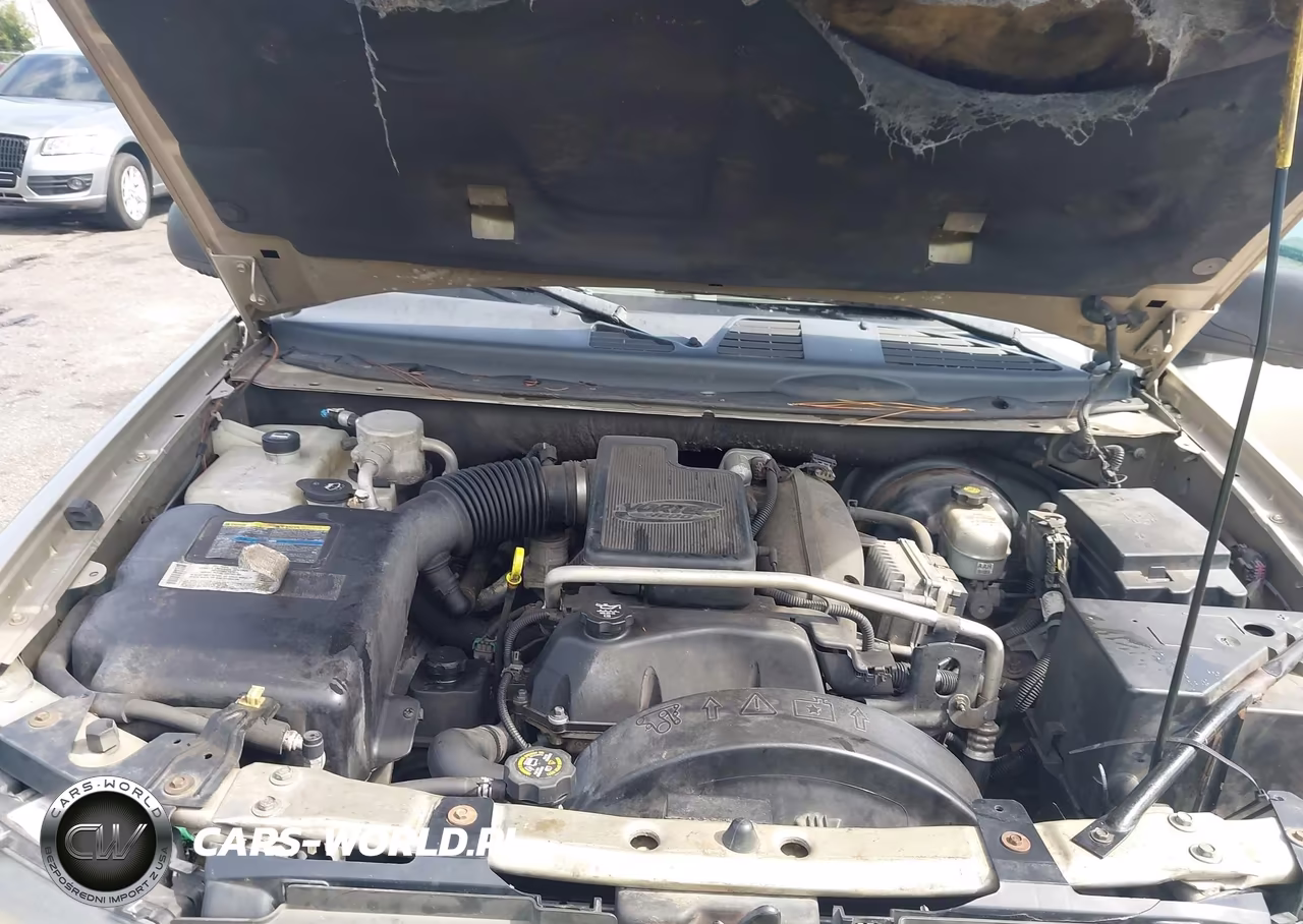 2004 Chevrolet Trailblazer Ls VIN:1GNDS13S142447288 - 10