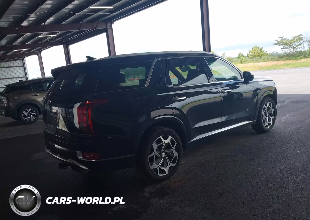 2021 Hyundai Palisade Calligraphy VIN:KM8R7DHE7MU200636 - 4