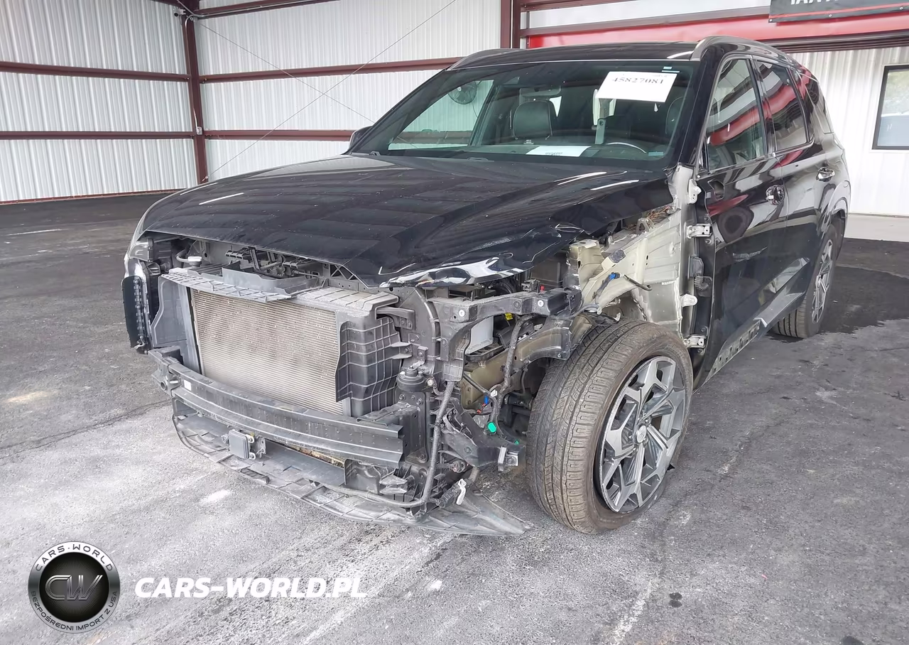 2021 Hyundai Palisade Calligraphy VIN:KM8R7DHE7MU200636 - 6