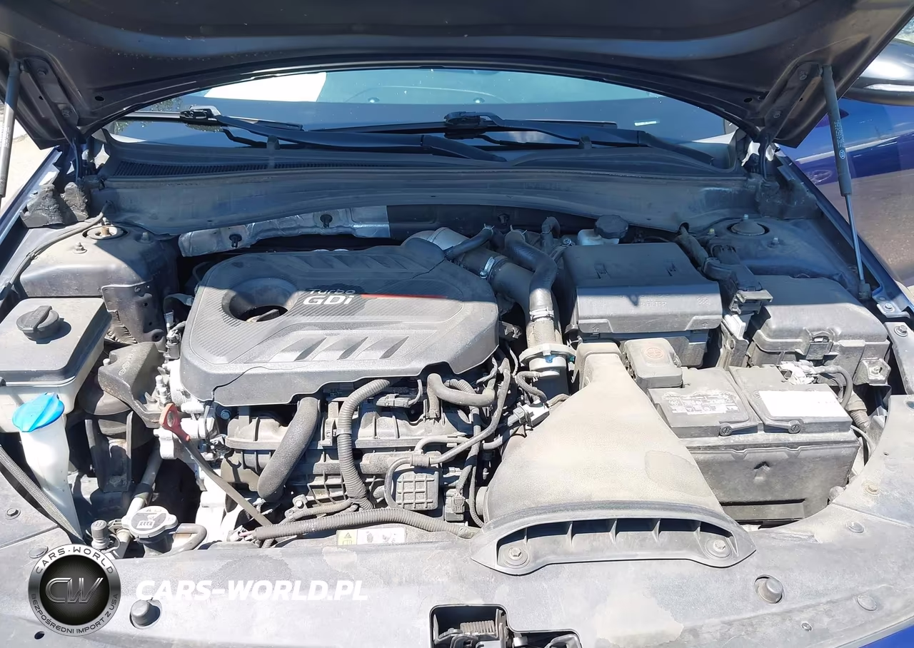 2020 Kia Optima Sx Turbo VIN:5XXGW4L29LG408002 - 10