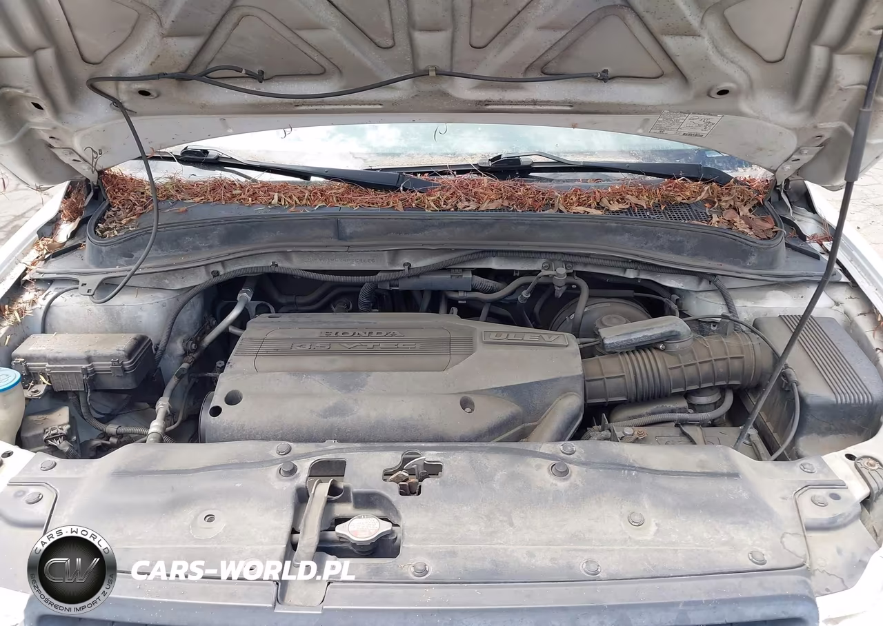 2004 Honda Pilot Ex-L VIN:2HKYF18574H589886 - 10