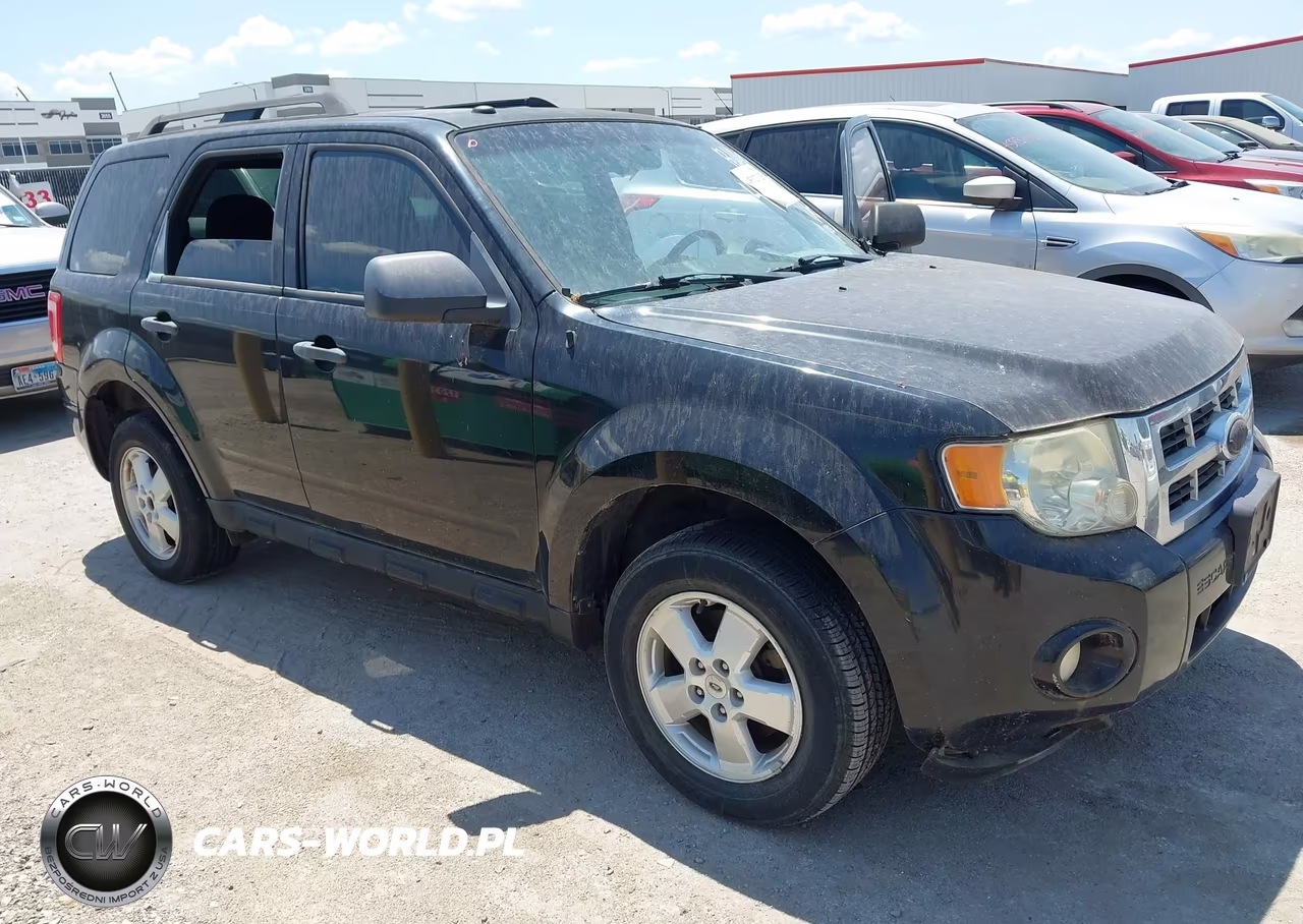 2010 Ford Escape Xlt