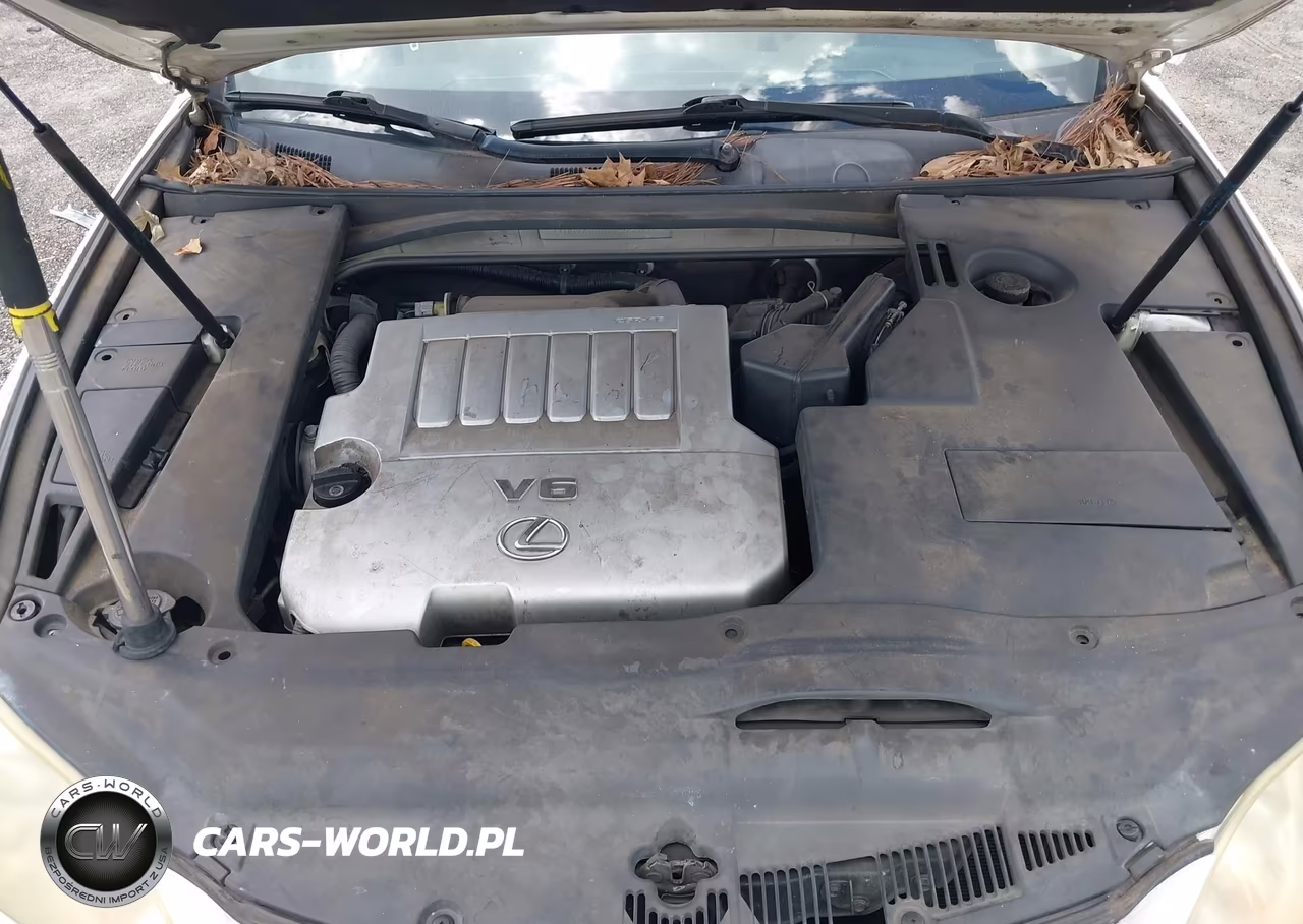 2008 Lexus Es 350 VIN:JTHBJ46G882266091 - 10