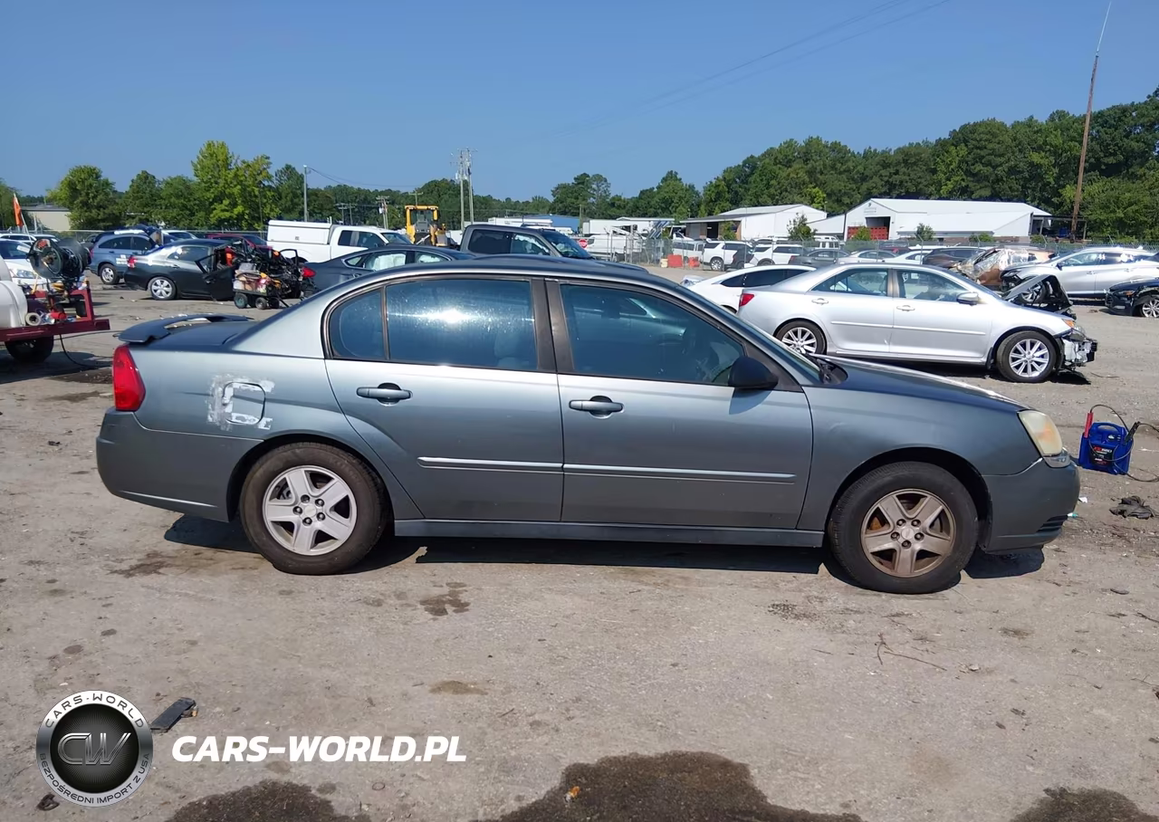 2005 Chevrolet Malibu Ls VIN:1G1ZT52845F300250 - 12