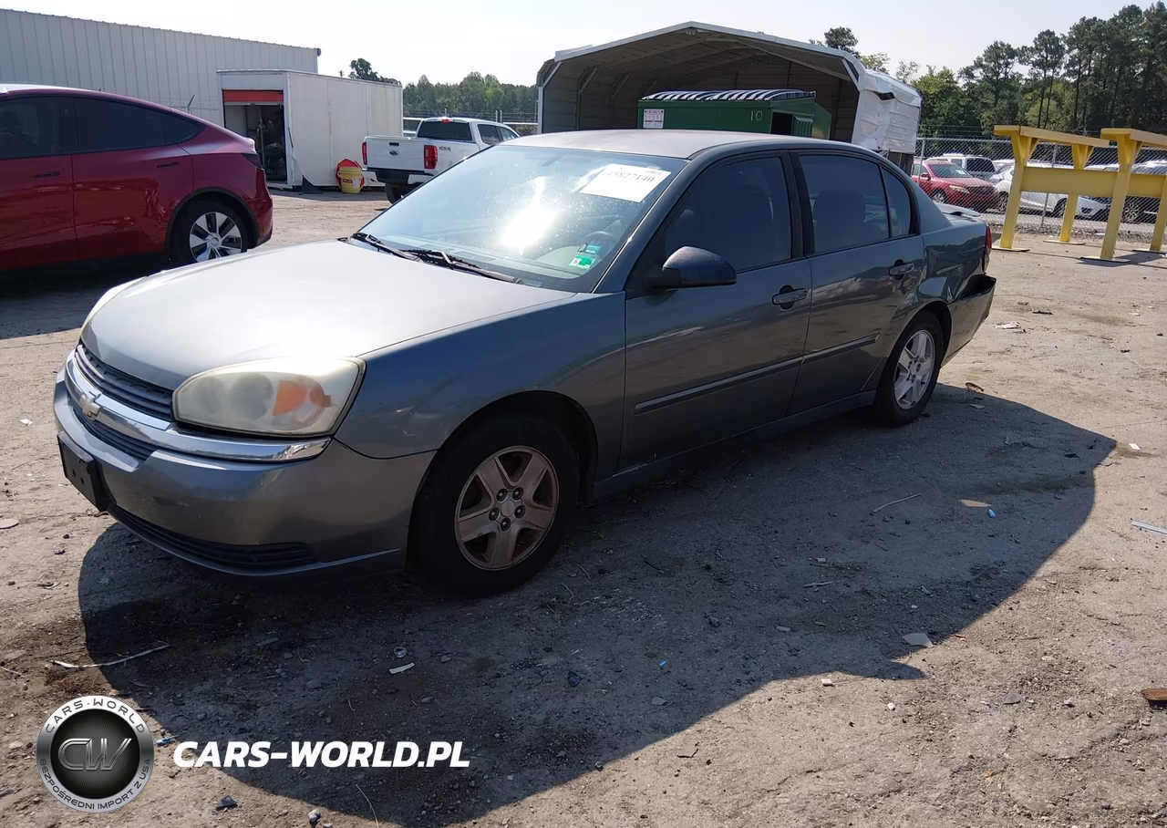 2005 Chevrolet Malibu Ls VIN:1G1ZT52845F300250 - 2