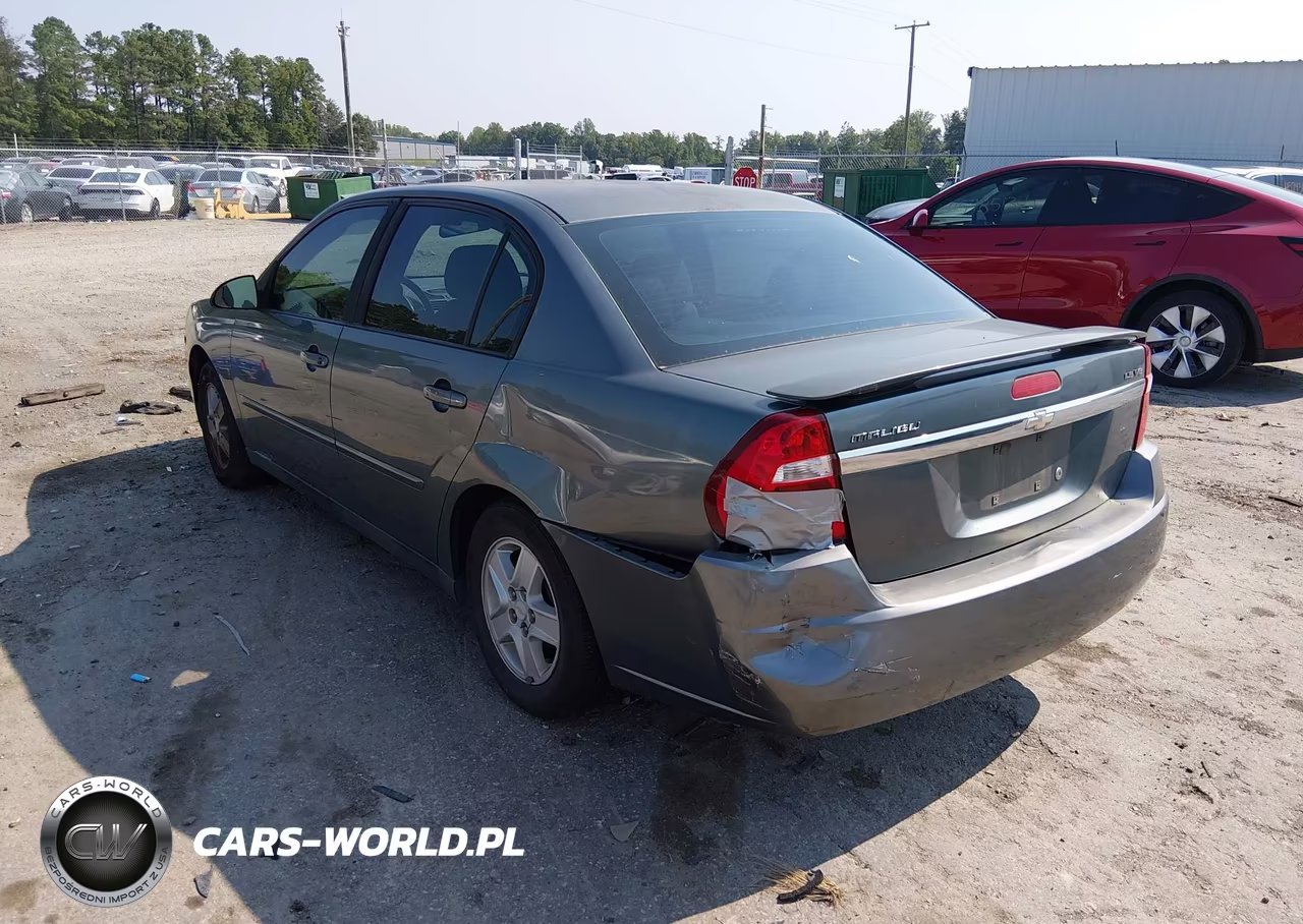 2005 Chevrolet Malibu Ls VIN:1G1ZT52845F300250 - 3