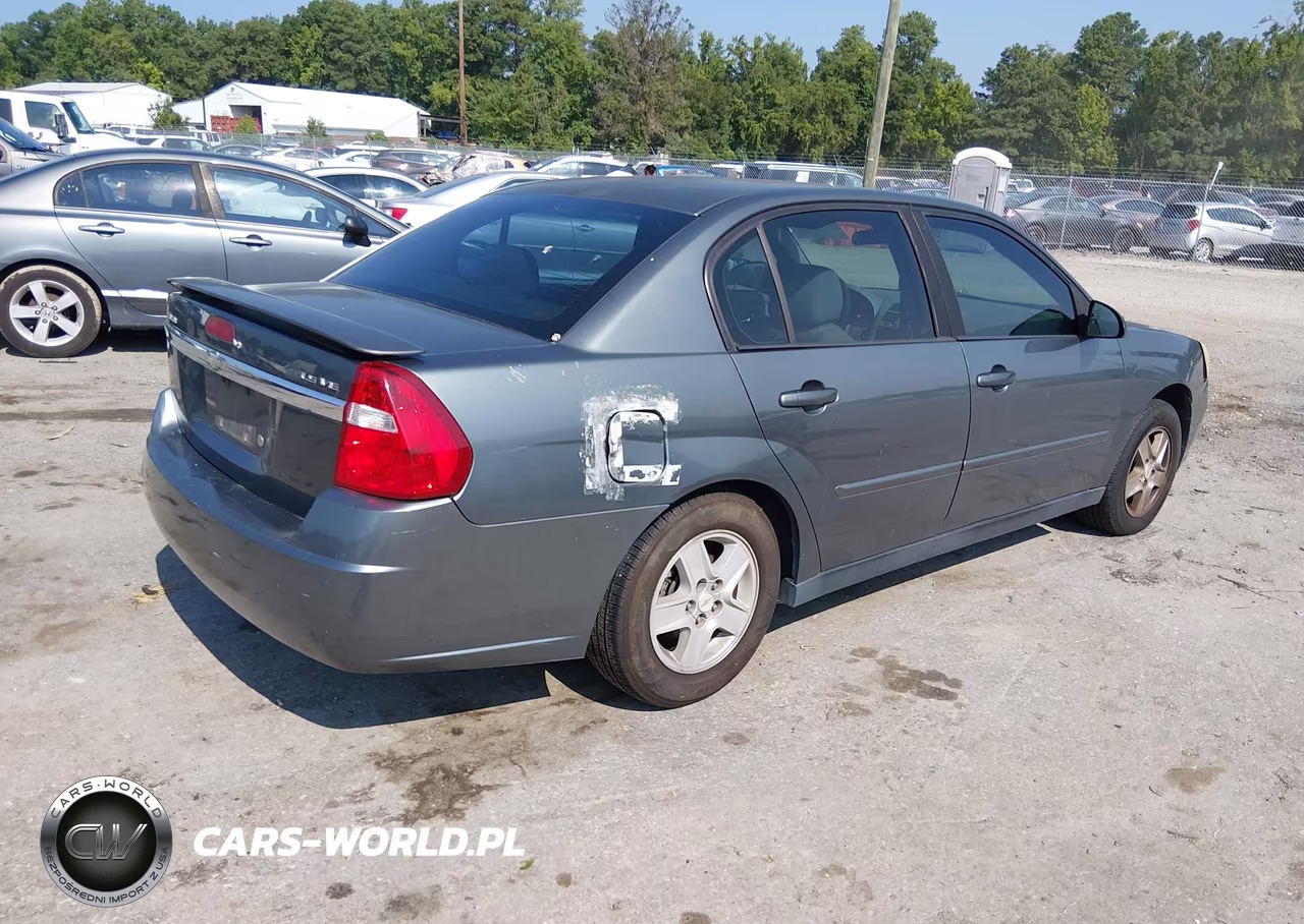 2005 Chevrolet Malibu Ls VIN:1G1ZT52845F300250 - 4