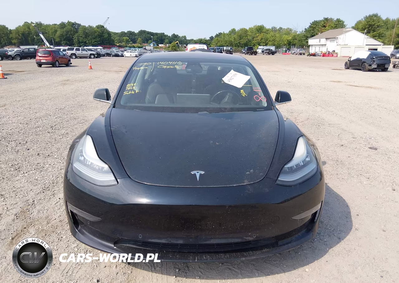 2019 Tesla Model 3 Long Range-Mid Range-Standard Range-Standard Range Plus VIN:5YJ3E1EA7KF324010 - 11