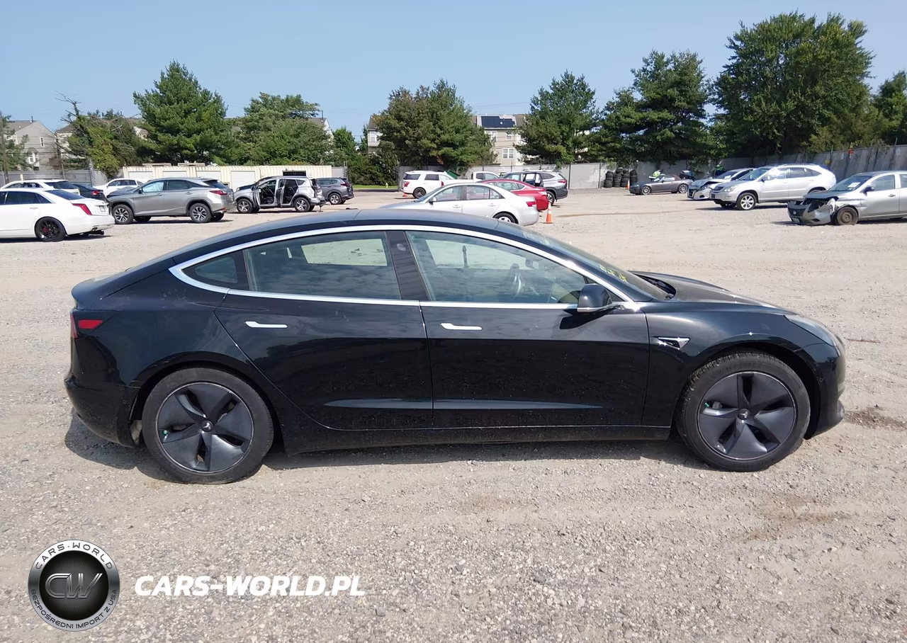 2019 Tesla Model 3 Long Range-Mid Range-Standard Range-Standard Range Plus VIN:5YJ3E1EA7KF324010 - 12